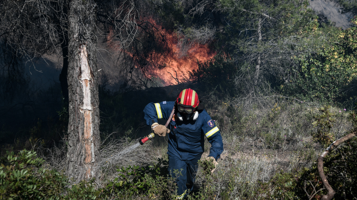 Κρήτη: Σε ύφεση η πυρκαγιά στο Λασίθι - «Μάχη» με τους ανέμους και τις αναζωπυρώσεις