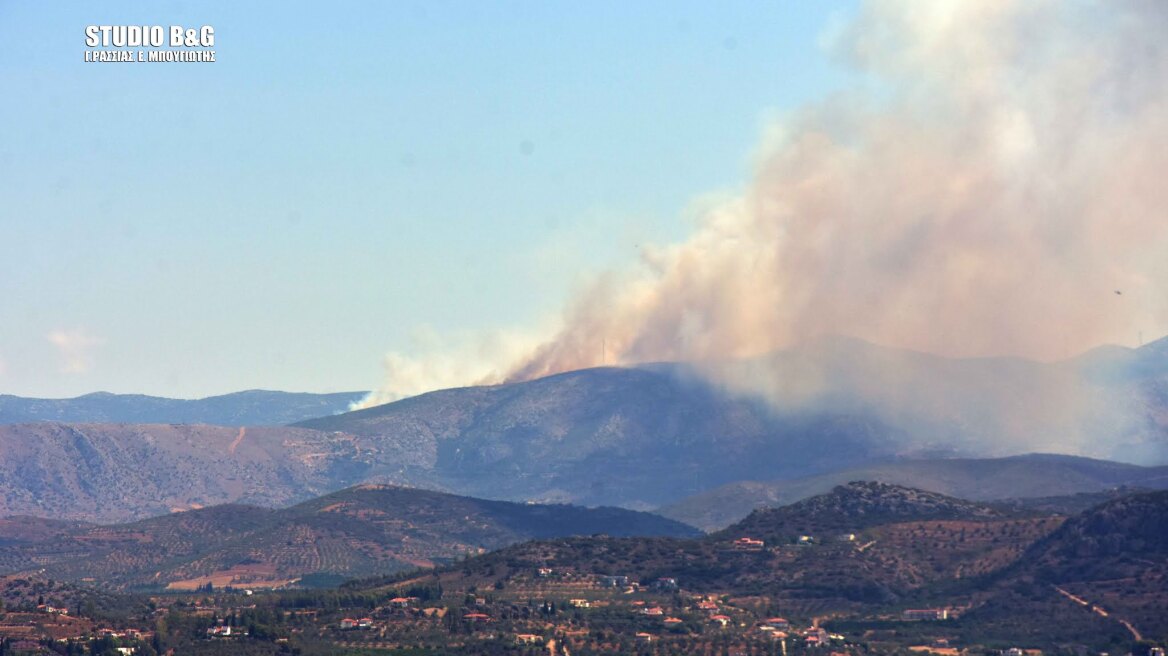 Ναύπλιο: Μεγάλη φωτιά σε δασική έκταση στο Αραχναίο - Ενισχύθηκαν τα εναέρια μέσα 