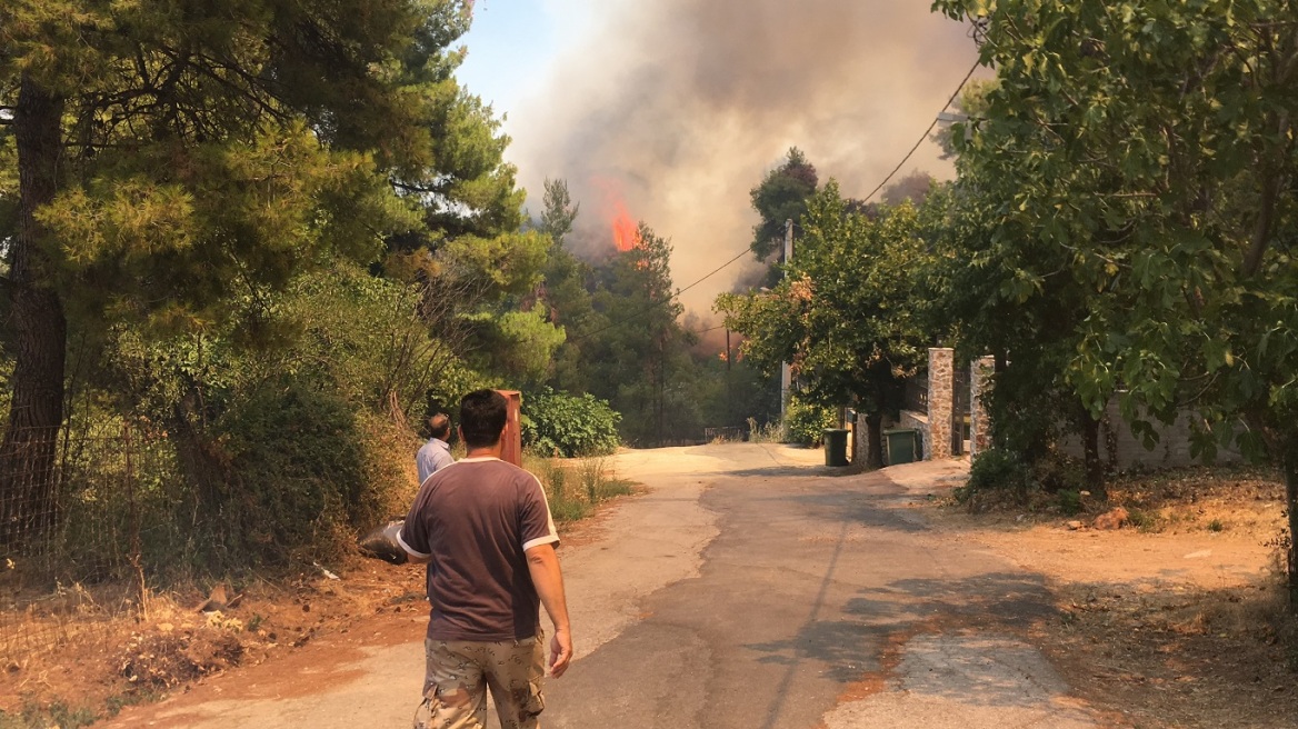 Φωτιά στη Σταμάτα: Τρομακτικό βίντεο με τεράστιες φλόγες πολύ κοντά σε σπίτια 