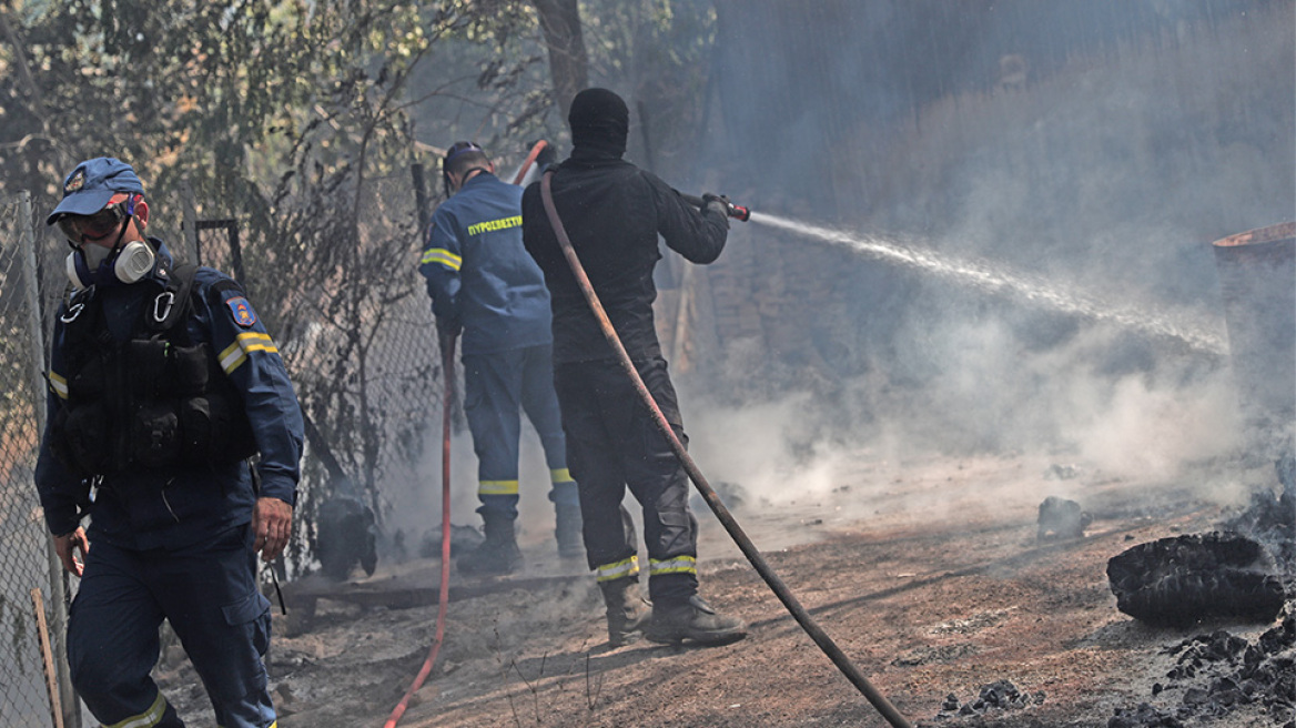 Φωτιά στη Σταμάτα: Συνελήφθη ο μελισσοκόμος - Κατηγορείται για εμπρησμό εξ αμελείας