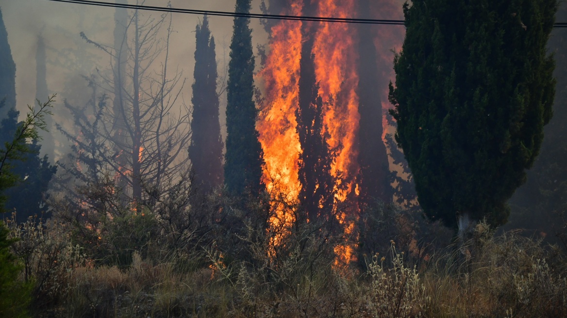 Πολιτική Προστασία: Πολύ υψηλός κίνδυνος πυρκαγιάς αύριο για 4 περιφέρειες