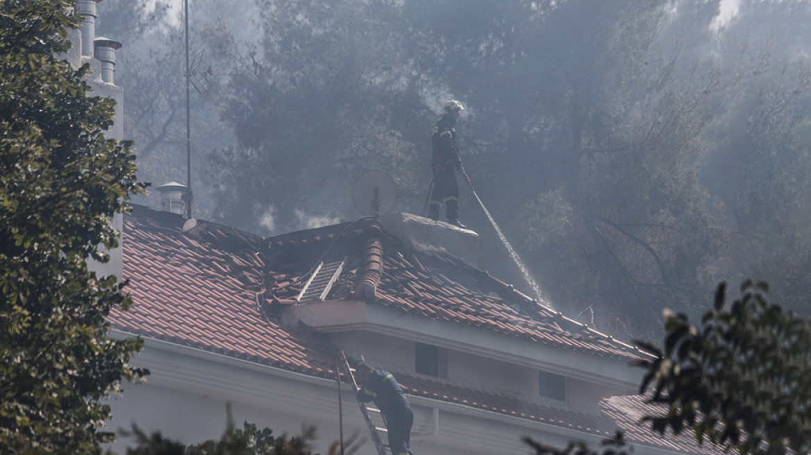 Φωτιά στη Σταμάτα: Ξεκίνησε από μελίσσια; - Πώς αποφεύχθηκαν τα χειρότερα - Μετράνε τις ζημιές οι κάτοικοι