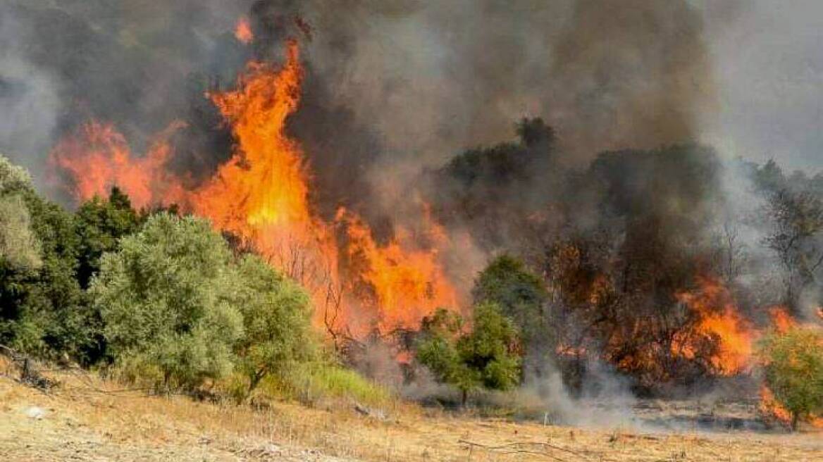 Φωτιά σε δασική έκταση στον Αλμυρό Μαγνησίας - Ενισχύθηκαν οι δυνάμεις