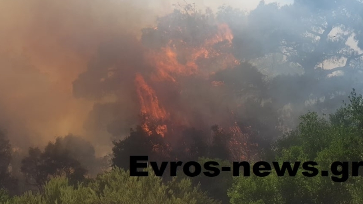 Σουφλί: Ολονύχτια μάχη με τις φλόγες στην Κοτρωνιά - Ενισχύθηκαν οι πυροσβεστικές δυνάμεις