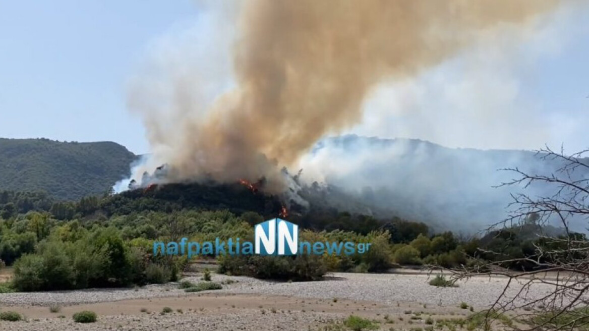 Μεγάλη φωτιά στην Αιτωλοακαρνανία: Εκκενώθηκαν οι οικισμοί Παραδείσι και Περπάτη