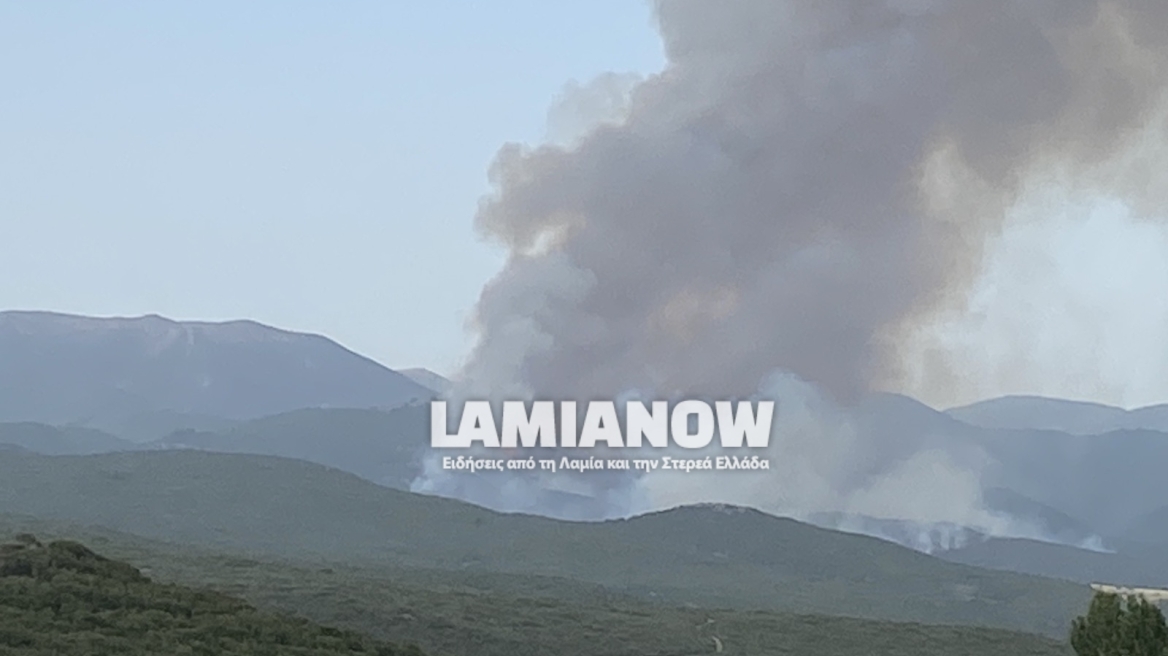 Μαίνεται η φωτιά στο χωριό Λογγίτσι της ανατολικής Φθιώτιδας - Δείτε βίντεο και φωτογραφίες