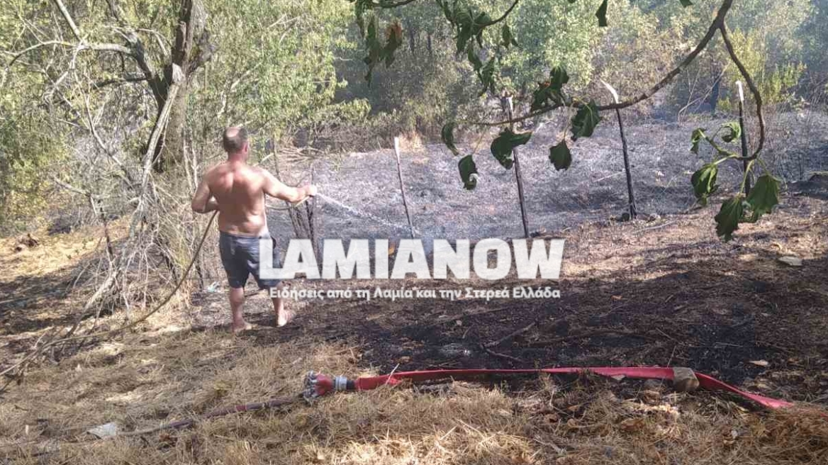 Υπό έλεγχο η φωτιά στη δυτική Φθιώτιδα - Κινδύνευσαν ηλικιωμένοι