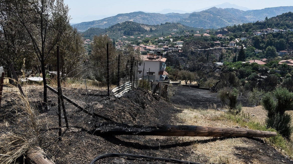 Φωτιά στην Αιγιάλεια: Κυβερνητικό κλιμάκιο στην Πάτρα την Τρίτη για την αποτίμηση των καταστροφών	