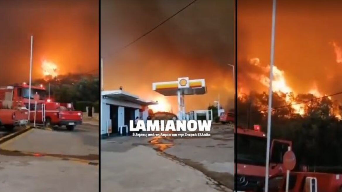 Φωτιά στη Βόρεια Εύβοια: Οι φλόγες κύκλωσαν βενζινάδικο, κάηκαν σπίτια - Δείτε βίντεο