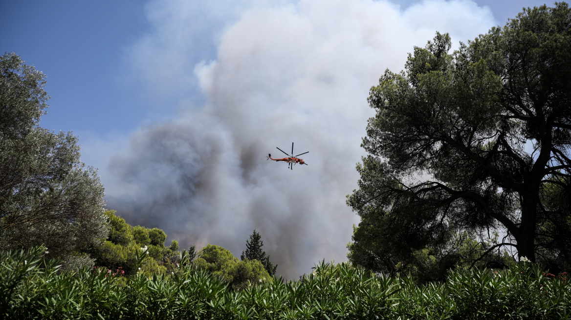 Φωτιά στη Βαρυμπόμπη: Έκτακτη σύσκεψη στο ΥΠΕΝ με ΔΕΗ, ΑΔΜΗΕ, ΡΑΕ - Κίνδυνος για διακοπές ρεύματος στην Αν. Αττική