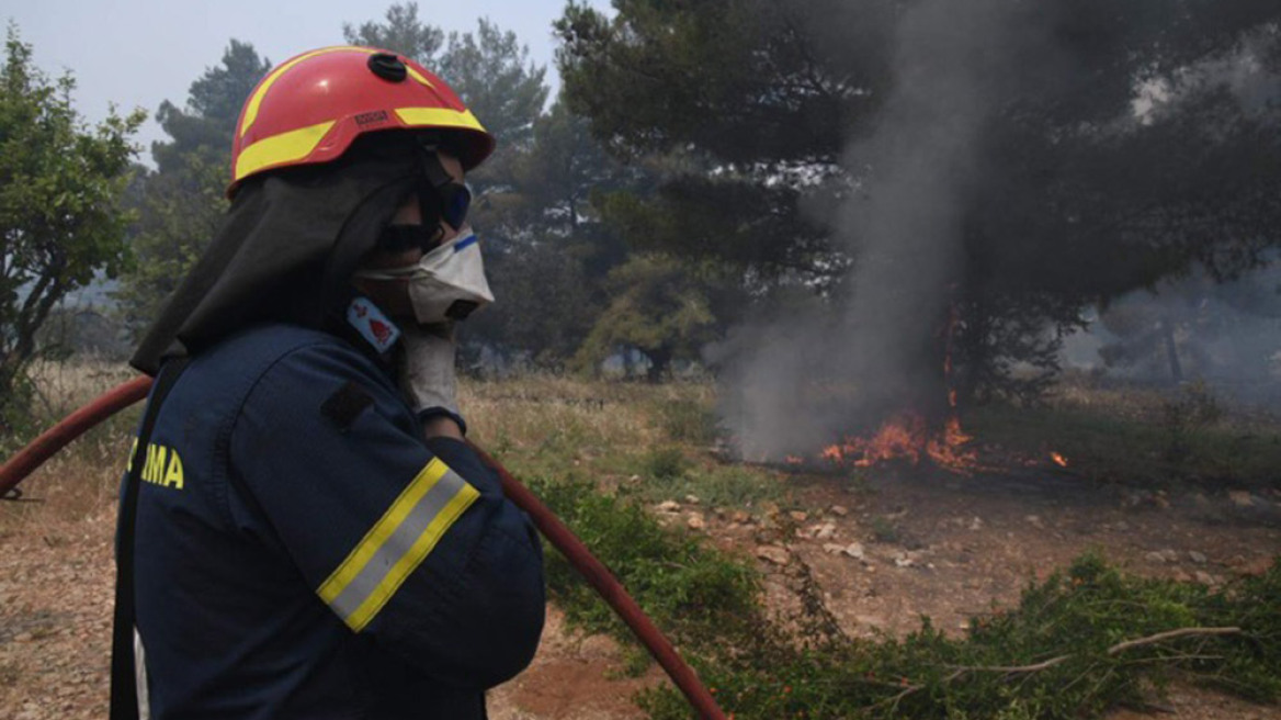 Εύβοια: Φωτιά τώρα στη Δάφνη Μαντουδίου - Εκκενώνονται τρία χωριά