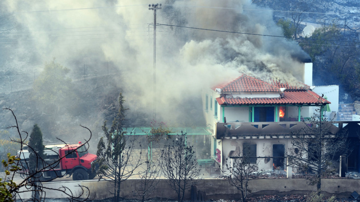 Σε πύρινο κλοιό Μεσσηνία και Μάνη - Κάηκαν πάνω από 700 στρέμματα ελιές και αμπελώνες