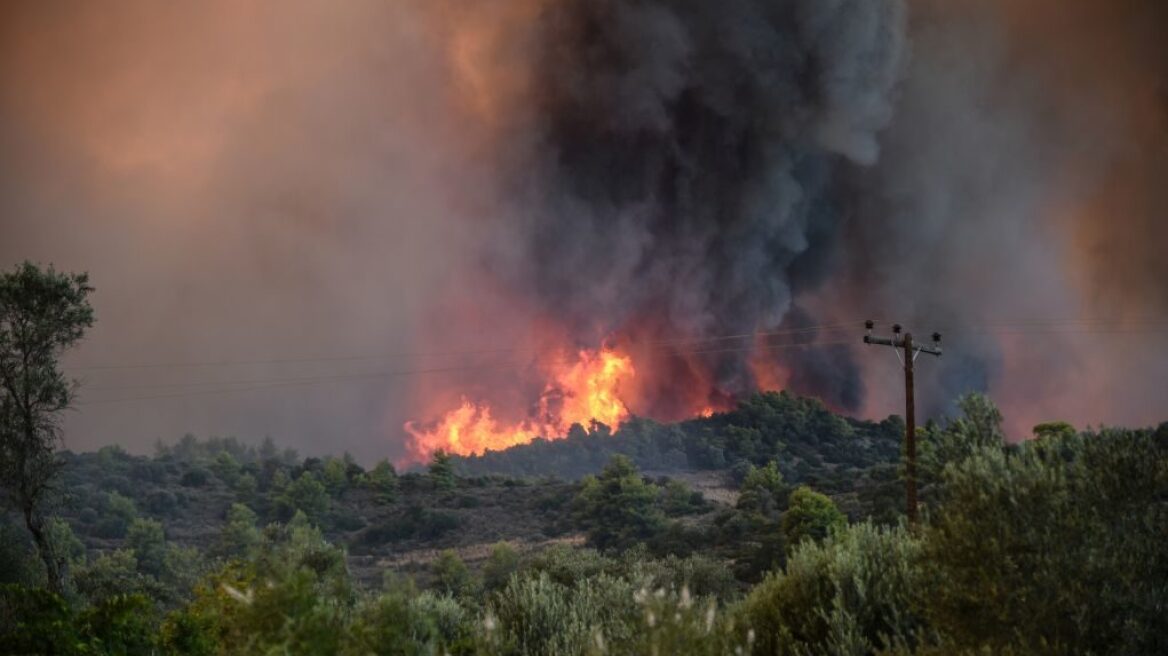 Θεσπρωτία: Πέρασε σε ελληνικό έδαφος η φωτιά από την Αλβανία