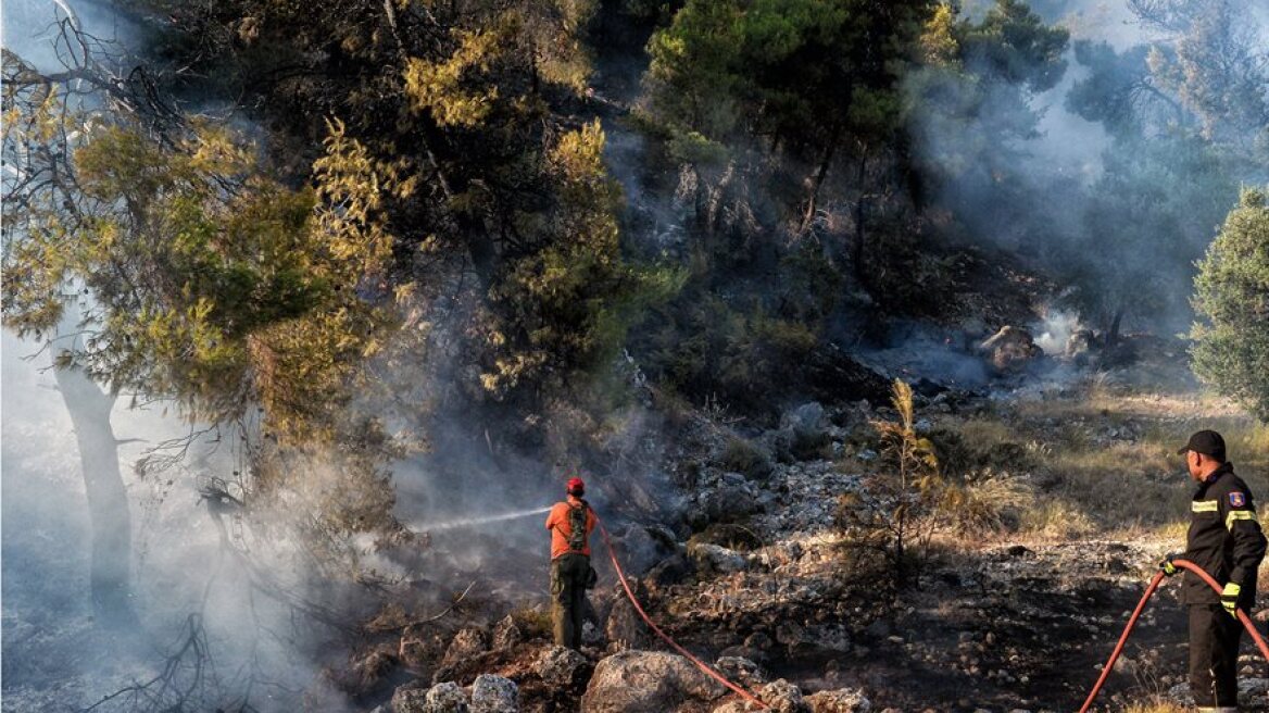 Πυρκαγιές: Πάνω από 60.000 στρέμματα κάηκαν το πρώτο τετραήμερο του Αυγούστου