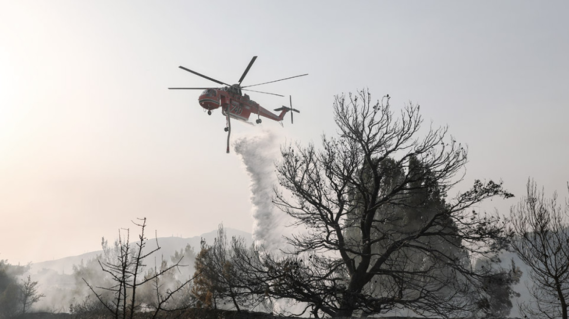 Δορυφορικές εικόνες από τις φωτιές στη Λίμνη Ευβοίας και την Αρχαία Ολυμπία