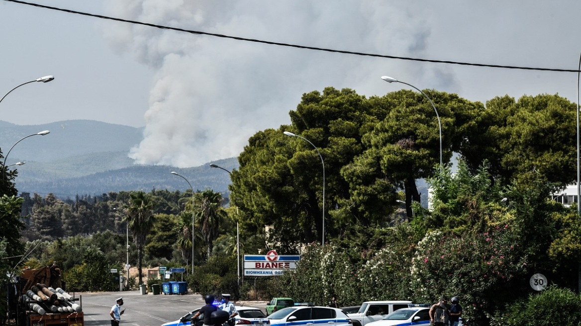 Φωτιά στη Βαρυμπόμπη - Πατούλης: Οι φλόγες «γλείφουν» κτίρια στα Βασιλικά Κτήματα