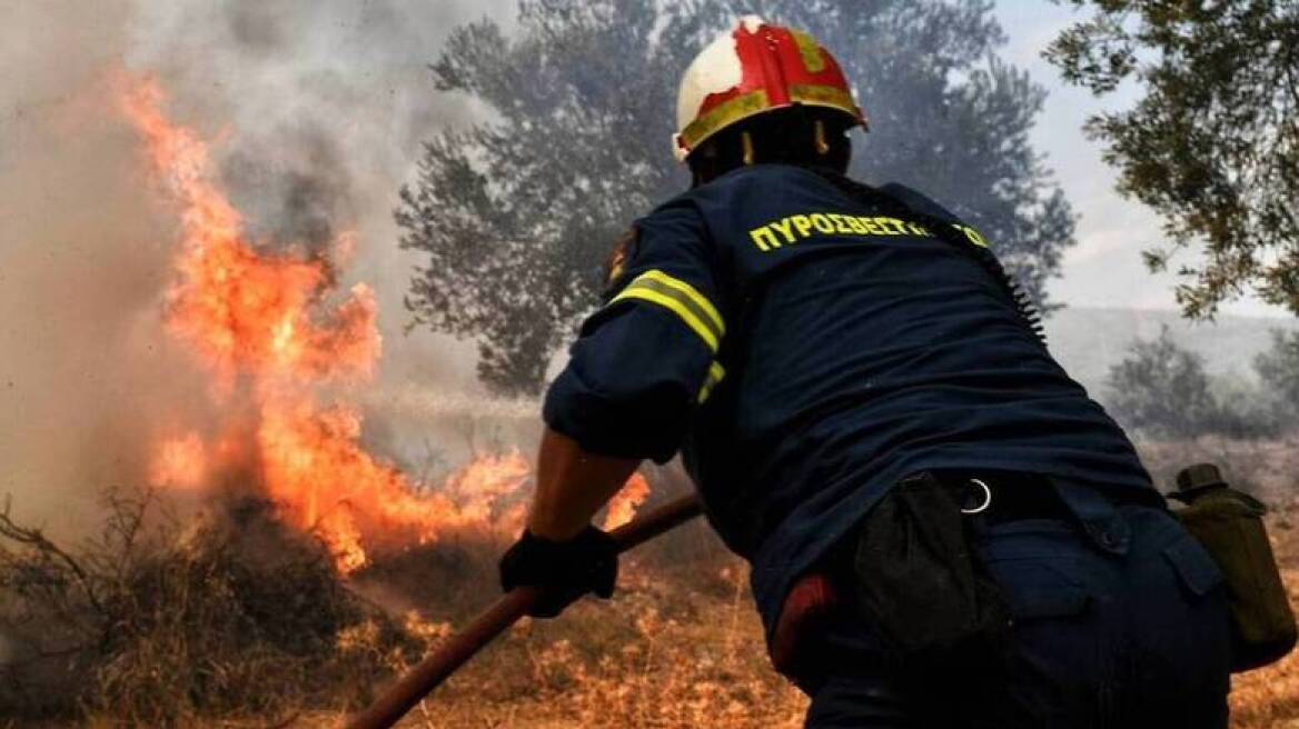 Φωτιά στη Φωκίδα: Εκκενώνονται Ελαία και Καλλιθέα - Μήνυμα του 112 (Δείτε βίντεο)