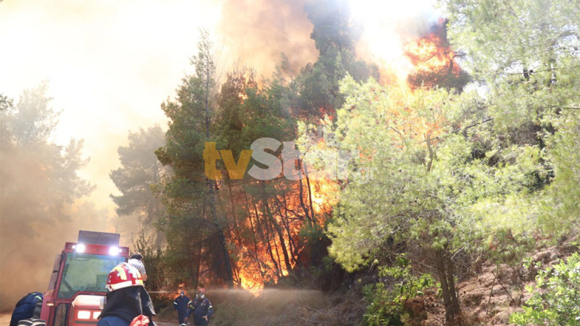 Υπό μερικό έλεγχο η φωτιά στον Θεολόγο: Σταμάτησαν τις φλόγες λίγο πριν το Μοναστήρι στη Μαλεσίνα 