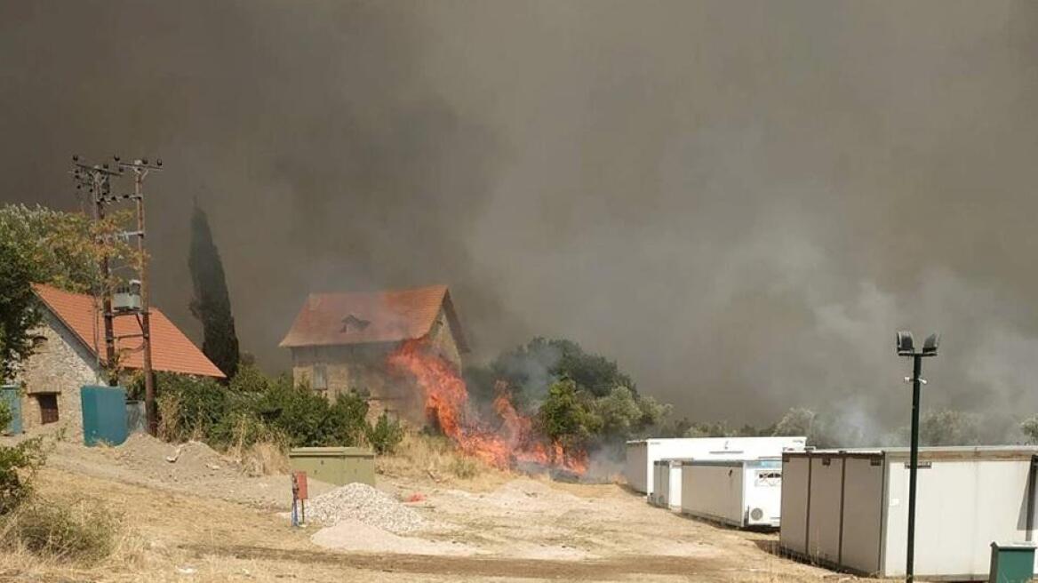 Πώς σώθηκε στο «παρά πέντε» το Τατόι - Η κήρυξή του ως αναδασωτέας περιοχής και οι υποψίες εμπρησμού