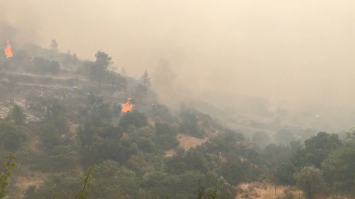 Φωτιά στην Αττική - Αγώνας δρόμου για να ελεγχθούν τα μέτωπα στις Αφίδνες - Καμένα σπίτια και αυτοκίνητα στη Δροσοπηγή (βίντεο + φωτογραφίες)