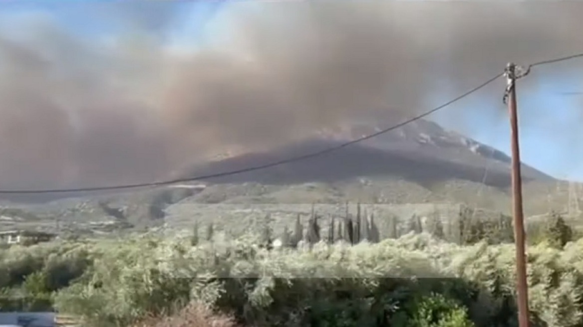 Φωτιά στη Φωκίδα: Εκκενώθηκαν τρεις οικισμοί - Στα ορεινά το πύρινο μέτωπο