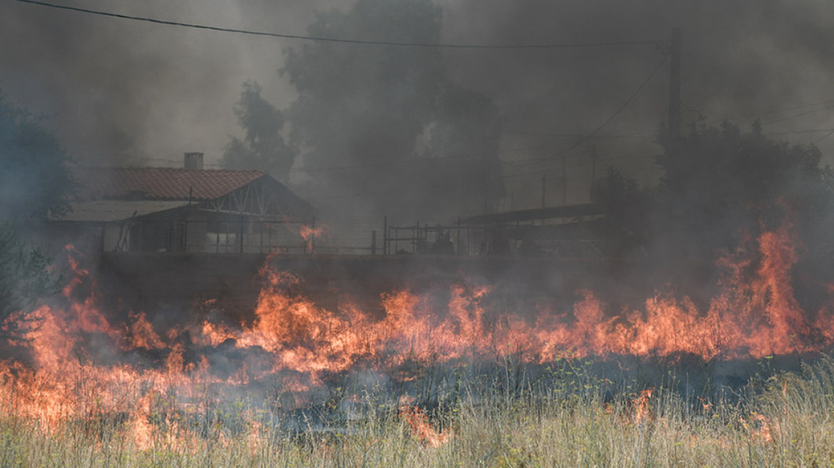 Live update: Λεπτό προς λεπτό η μάχη με τις πυρκαγιές