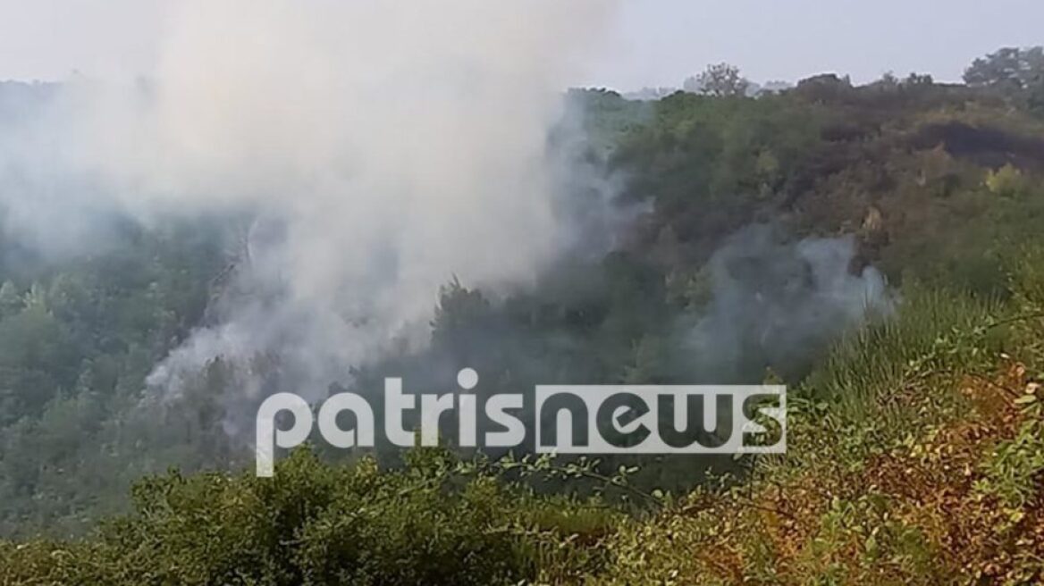 Φωτιά στην Ηλεία: Αναζωπύρωση στο χωριό Δούκα - Ενισχύεται λόγω ανέμων