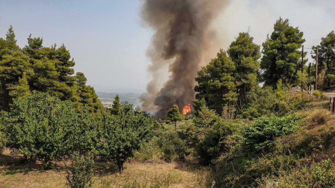 Φωτιά στη Μεσσηνία: Πύρινο μέτωπο στη Μέλπεια - Παραμένει κλειστός ο νέος αυτοκινητόδρομος Κόρινθος – Τρίπολη – Καλαμάτας