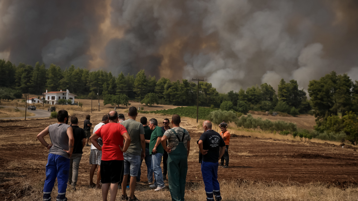 Πυρκαγιές: Ανάσα στην κεντρική Εύβοια – Έβρεξε για μία ώρα