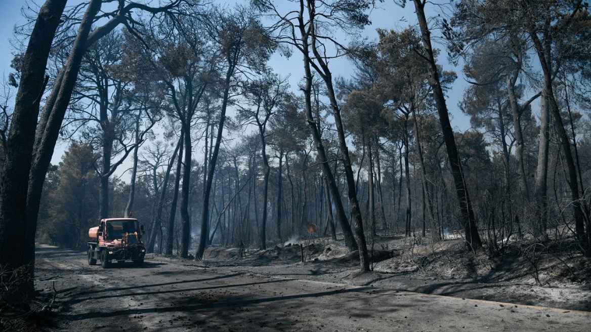 Οι δικηγόροι συνδράμουν οικονομικά στην αντιμετώπιση των συνεπειών των πυρκαγιών