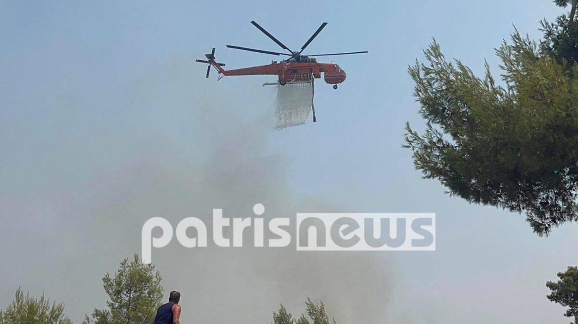 ﻿Φωτιά στην Ηλεία: Αναζωπύρωση στη Νεμούτα - Μάχη πυροσβεστών και εθελοντών (βίντεο)