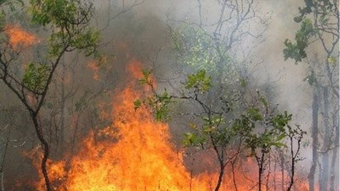 Φωτιά στην Αρχαία Ολυμπία: Αναζητείται ύποπτος για εμπρησμό στη Δίβρη