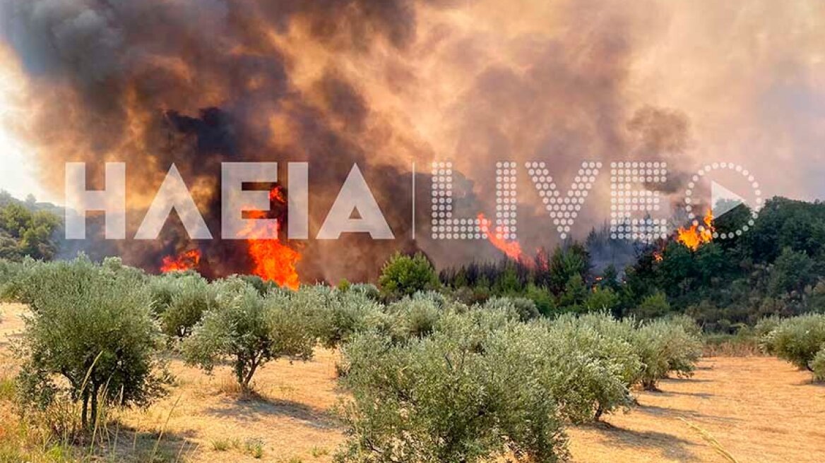 Φωτιά στην Ηλεία:  Μάχη με τις αναζωπυρώσεις σε Λάλα και Ράχες Αρκαδίας