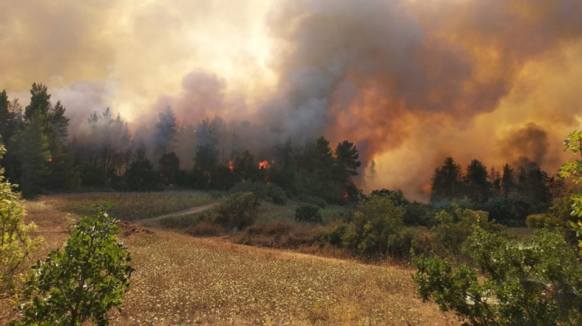 Φωτιά στη Μάνη: Αναζωπυρώσεις στην ορεινή περιοχή του Κρυονερίου