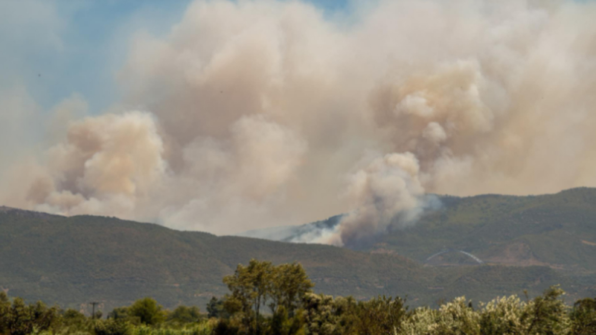 Φωτιά στη Μεσσηνία: Πύρινο μέτωπο στη Μεγαλόπολη - Μάχη σε δύο μέτωπα στην Αρκαδία