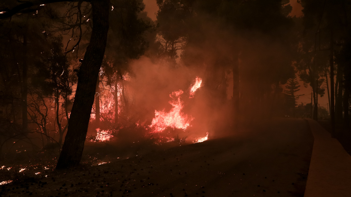 Λέκκας: Αυξημένος κατά επτά φορές ο κίνδυνος για πλημμύρες μετά τις πυρκαγιές