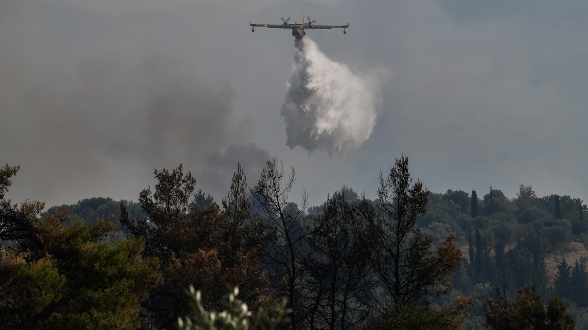 Φωτιά στην Αρκαδία: Καλύτερη η κατάσταση με τις αναζωπυρώσεις σε Γορτυνία και Μεγαλόπολη