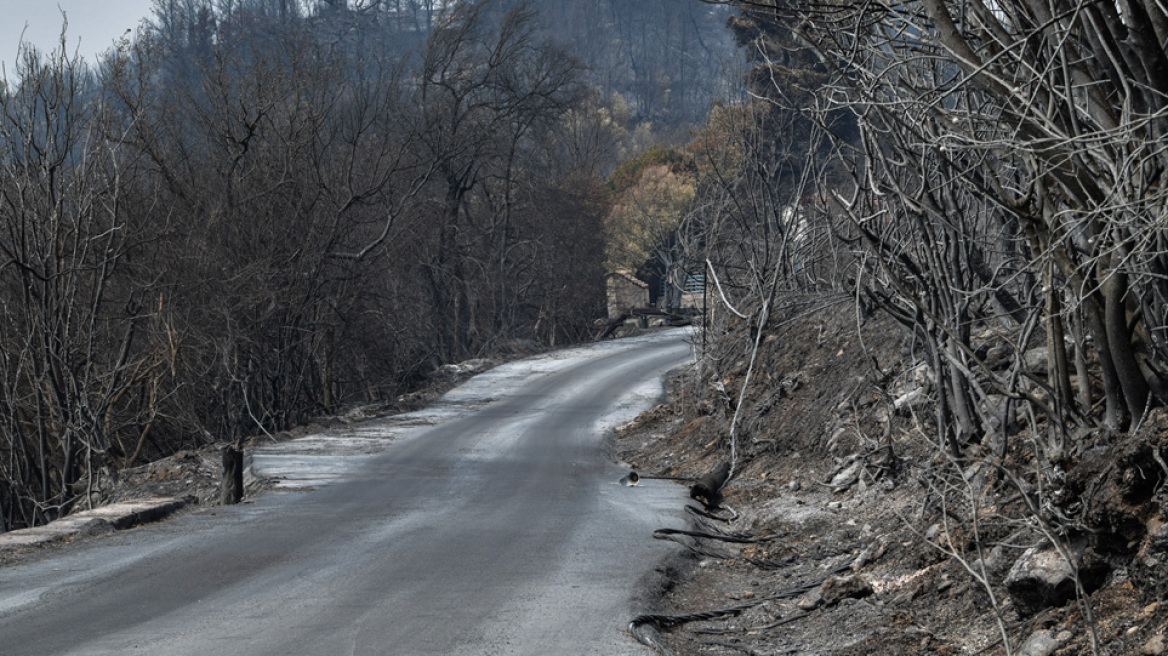 Χωρίς ενεργό μέτωπο η φωτιά στη Γορτυνία - Μάχη με τις αναζωπυρώσεις σε Ηλεία και Ανατολική Μάνη