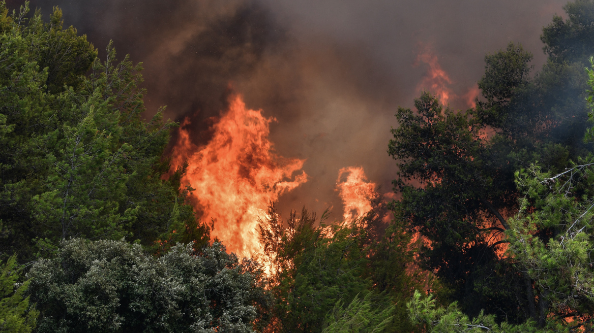 Πολύ υψηλός κίνδυνος πυρκαγιάς προβλέπεται και για αύριο σε έξι περιφέρειες