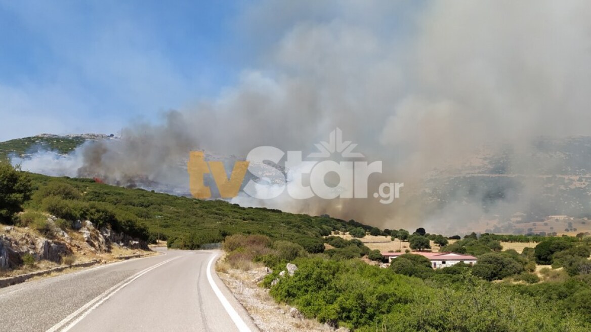 Φωτιά στη Νότια Εύβοια