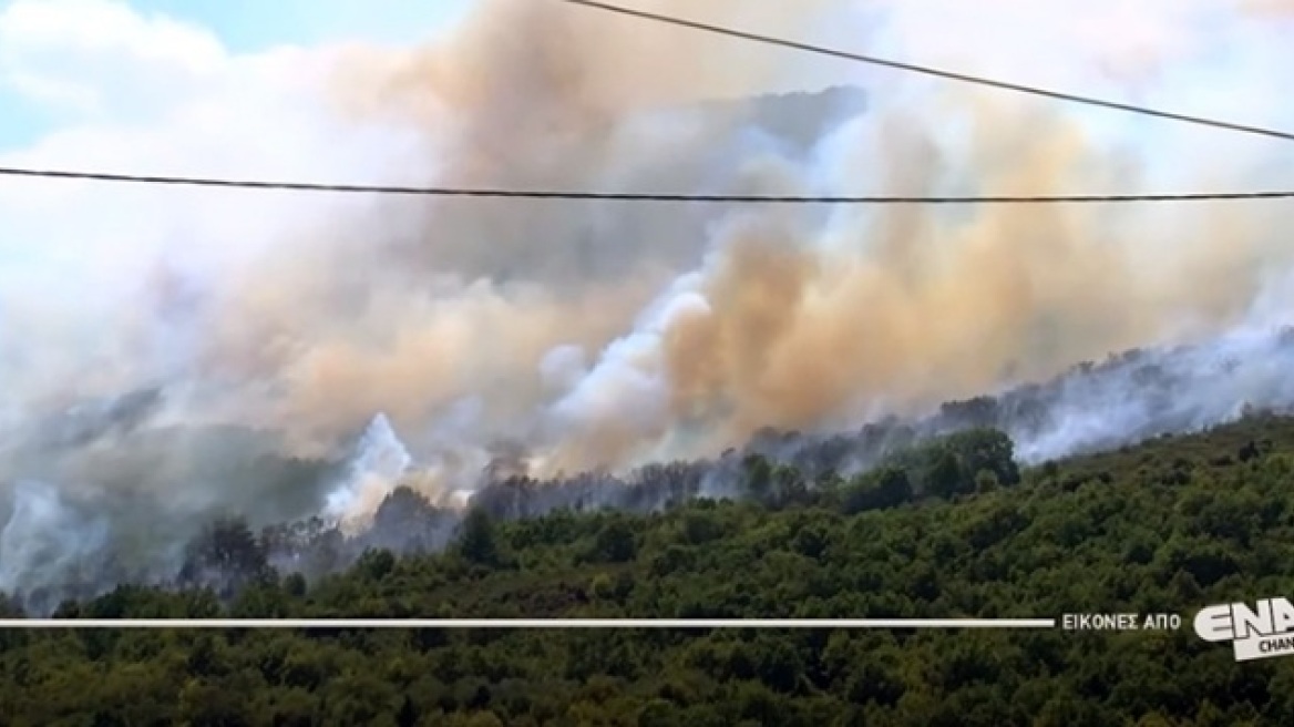 Φωτιά στο Παγγαίο: Κάηκαν 300 στρέμματα χορτολιβαδικής και θαμνώδους έκτασης - Στον εισαγγελέα ο κτηνοτρόφος που συνελήφθη