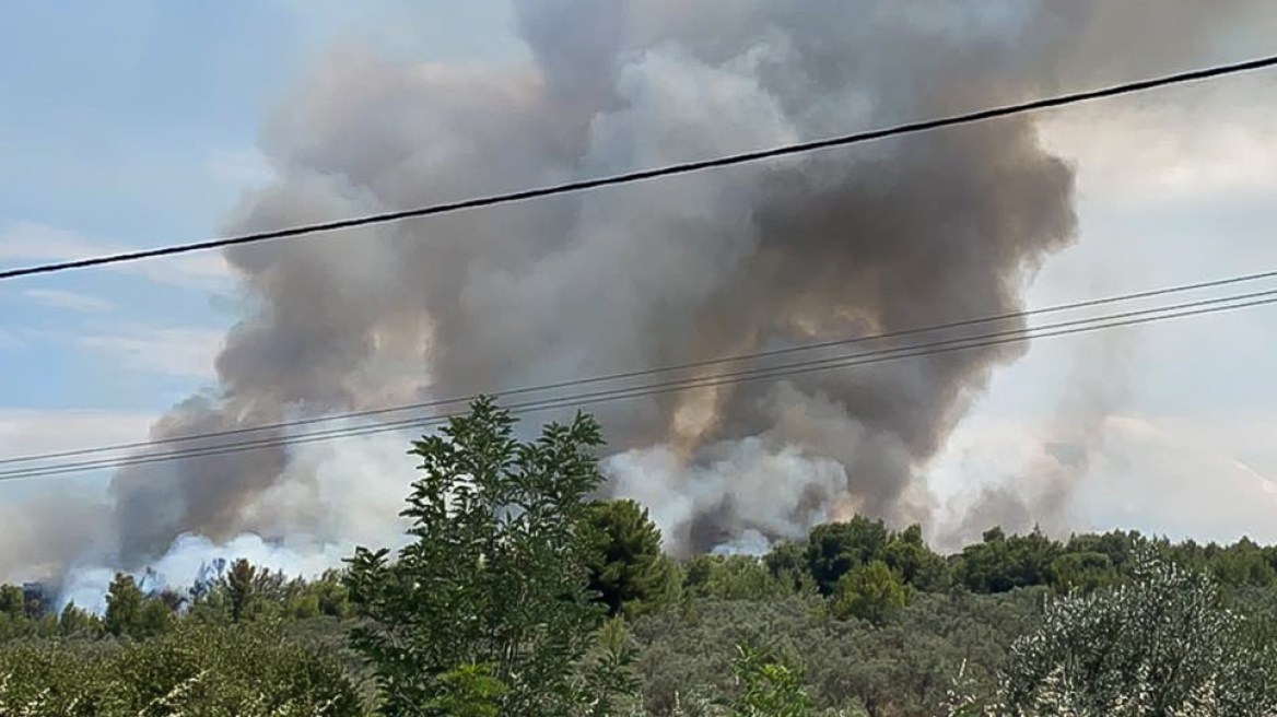 Φωτιές στον Θεολόγo: Δεκατετράχρονος ομολόγησε ότι ευθύνεται για 9 από τις 13 - Προσήχθησαν και οι γονείς του