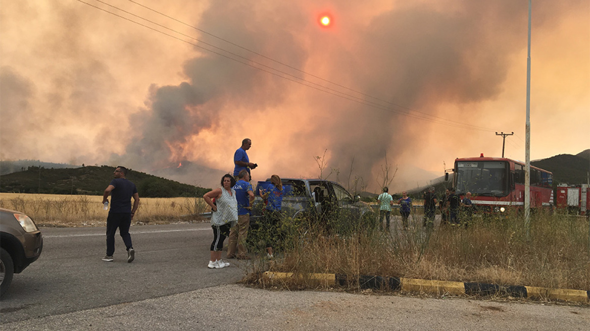 Φωτιά στα Βίλια: Κάηκαν σπίτια εκτός οικισμού - Σε ετοιμότητα οι κάτοικοι για να εκκενώσουν