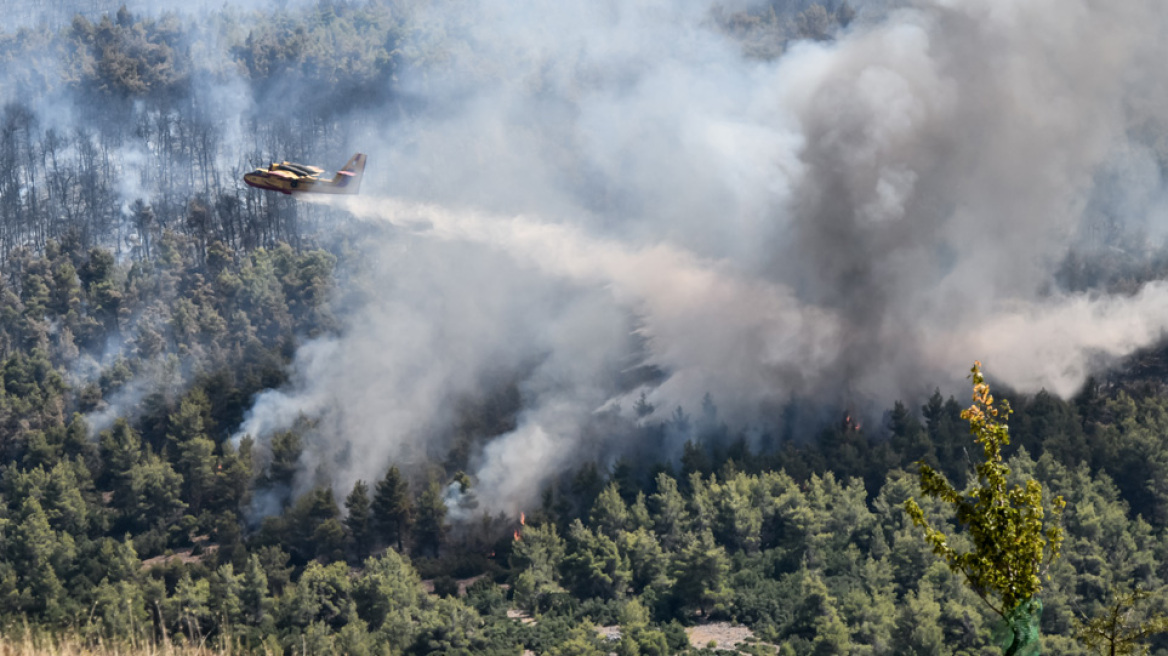 Φωτιά στα Βίλια: Κινείται προς Παλαιοχώρι - Πάνω από 20 χιλιόμετρα το πύρινο μέτωπο