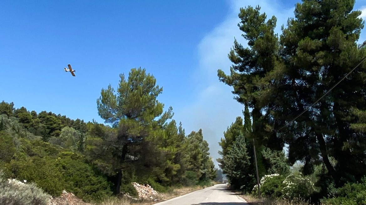 Θεολόγος: Έβαζα φωτιές γιατί μου άρεσε να βλέπω φλόγες και καπνό, λέει ο 14χρονος εμπρηστής