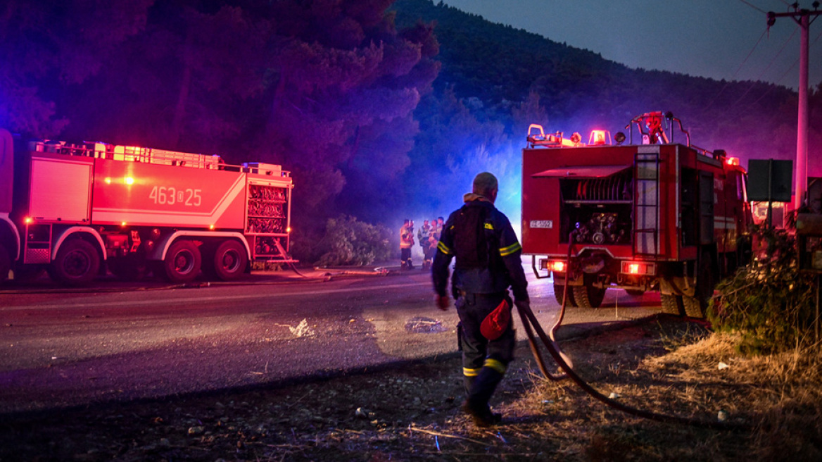 Φωτιά στα Βίλια: Όλες οι δυνάμεις στο νότιο μέτωπο - Μάχη με τις συνεχείς αναζωπυρώσεις