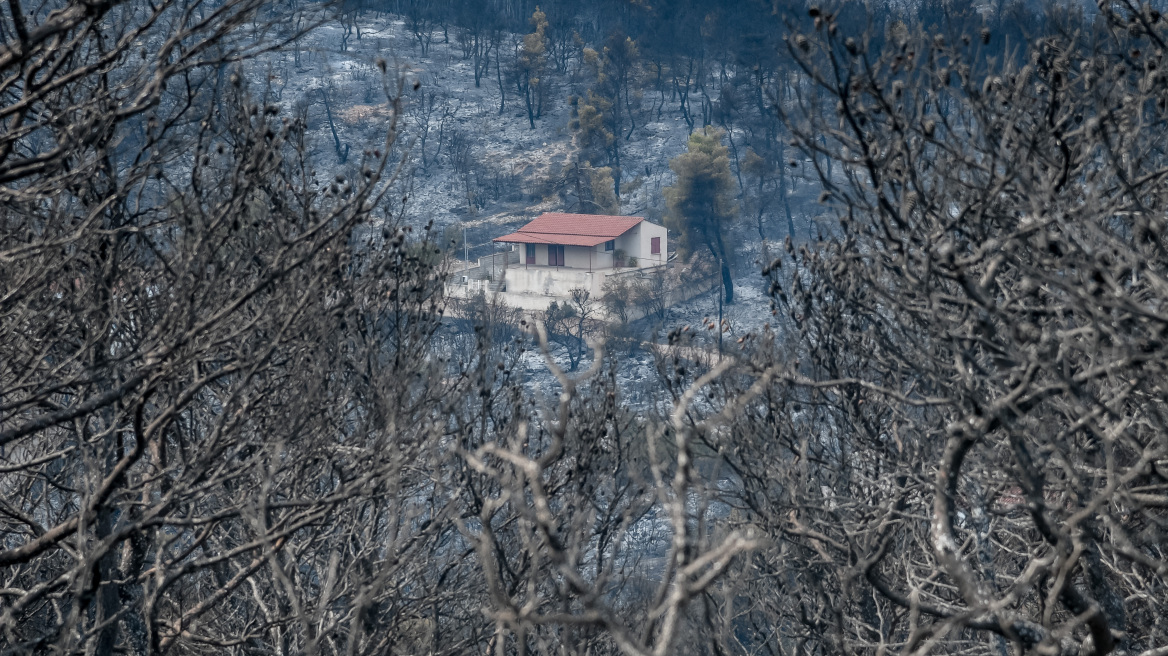 Βίλια: Καμένα κτίρια και δάσος - Δείτε τι αφήνει πίσω της η πυρκαγιά (Φωτογραφίες)