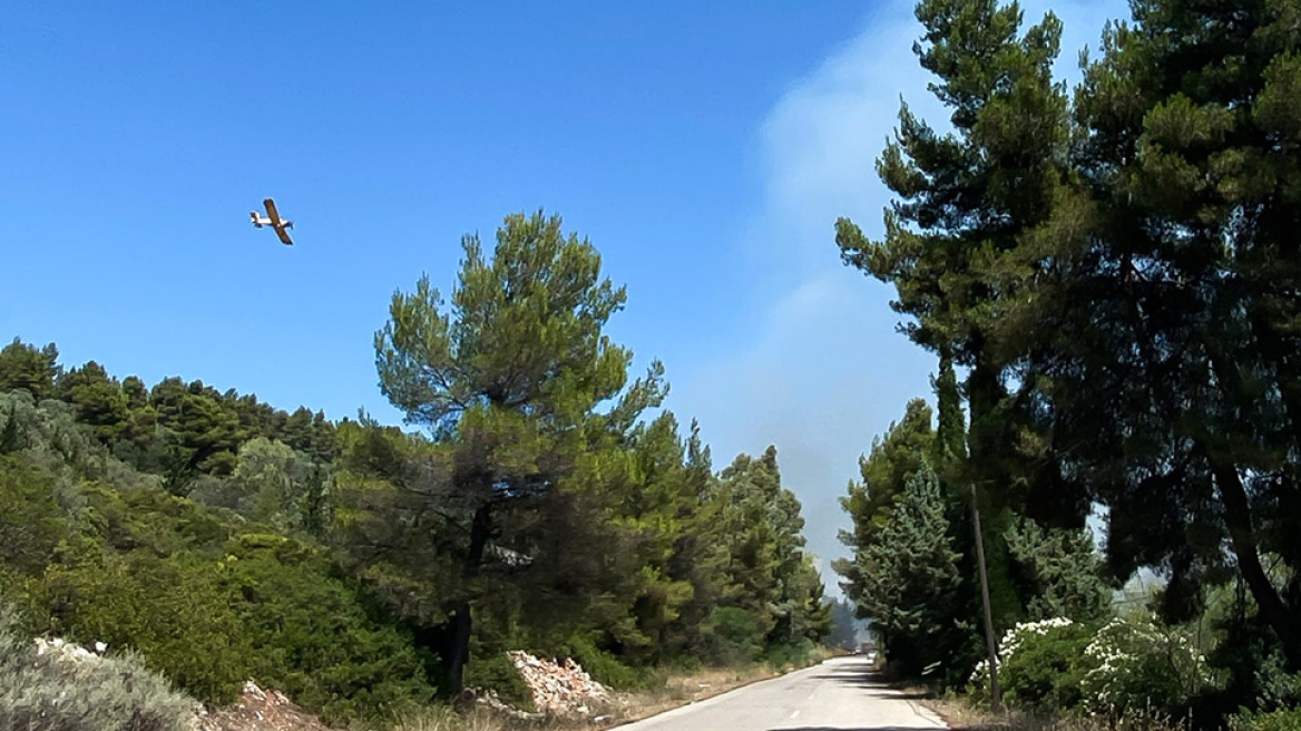 Υπόθεση εμπρησμού στον Θεολόγο: Ελεύθερος με περιοριστικούς όρους ο 14χρονος