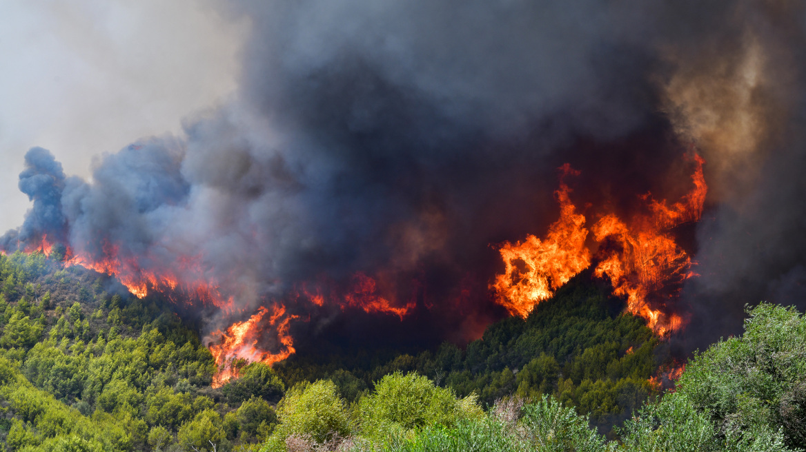 Πυροσβεστική: 27 δασικές πυρκαγιές το τελευταίο 24ωρο σε όλη την Ελλάδα