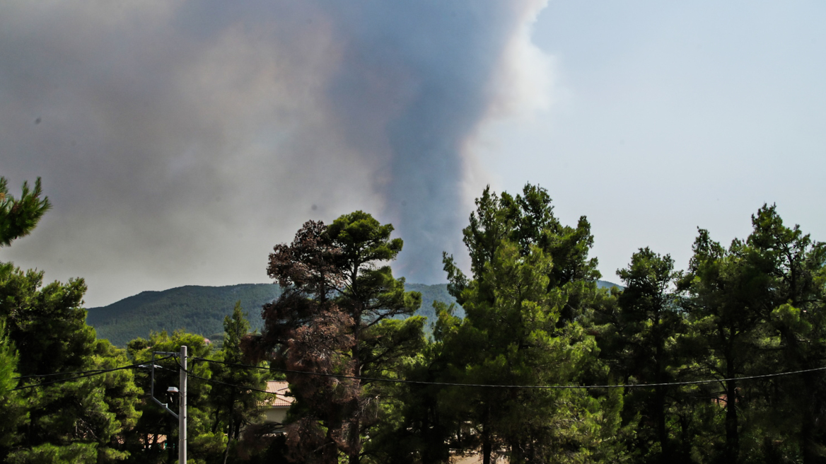 Πυροσβεστική: Σαράντα πέντε δασικές πυρκαγιές το τελευταίο 24ωρο